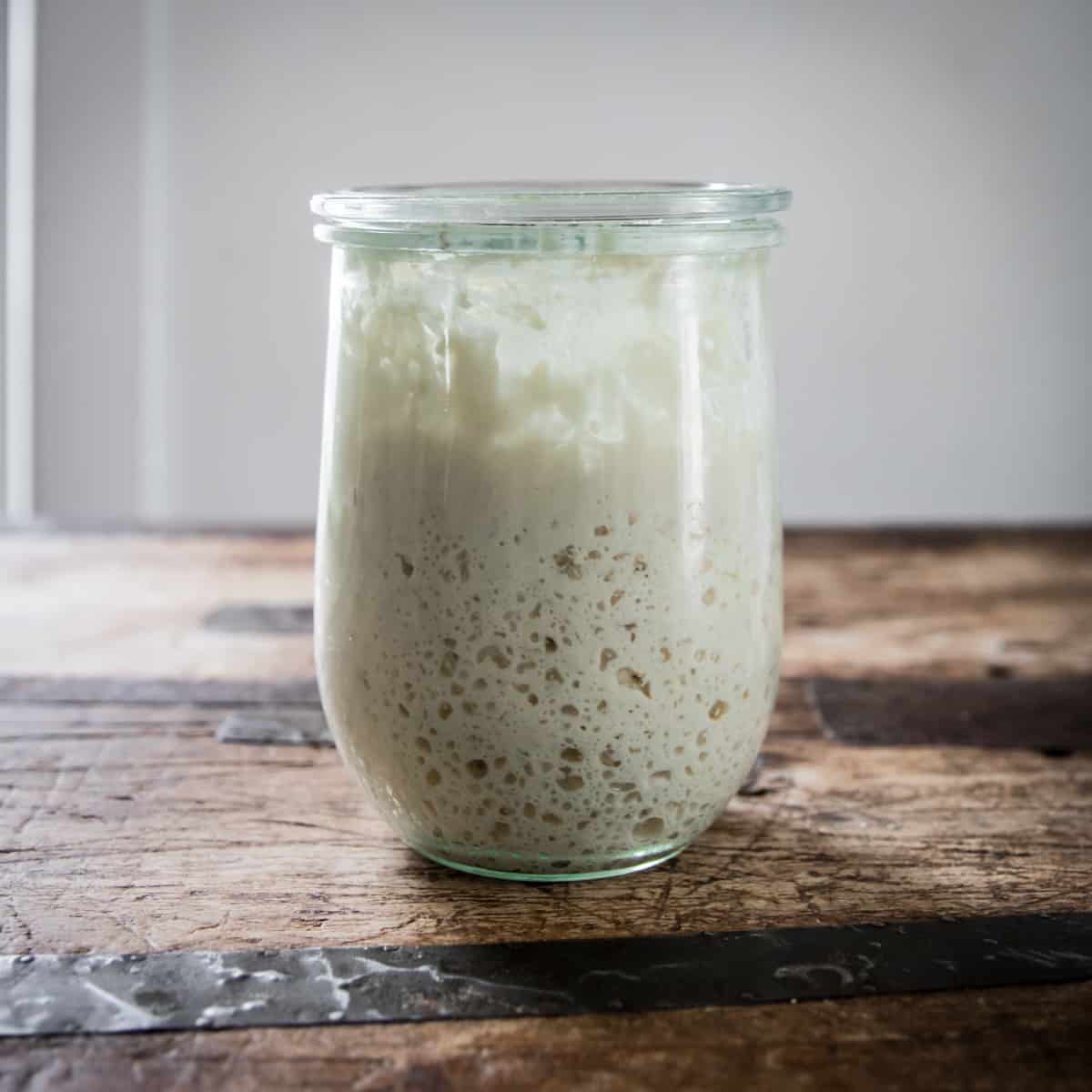 Sauerteig-Anstellgut in der Backstube